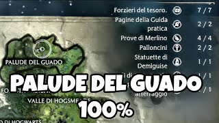 PALUDE DEL GUADO  I COLLEZIONABILI HOGWARTS LEGACY PROVE GUIDA PRATICA FORZIERI TROFEO [upl. by Freida]