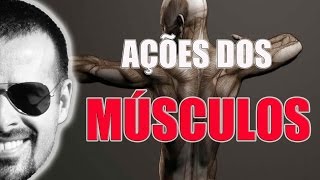 Sistema Muscular Ação dos músculos macete fácil de aprender  Anatomia Humana  VideoAula 023 [upl. by Aisorbma]