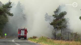 Grote brand De Hoge Veluwe [upl. by Emalia]