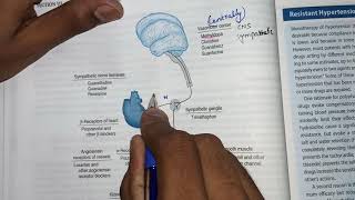 overview of antihypertensives drugs  pharmacology of Antihypertensive drugs part2 [upl. by Pestana]