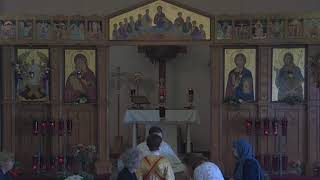 Resurrection Greek Orthodox Church Live Stream [upl. by Adnovaj]