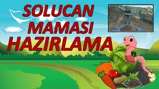 Solucan Maması Hazırlama  Solucanlar için kompost mama yapımı [upl. by Krall]