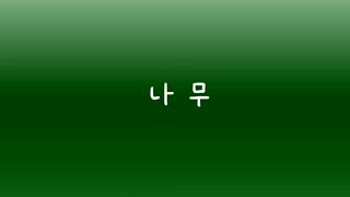 Korean Reading Practice [upl. by Aehtla]