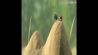 Red Ant Vs Black Ant Fight movieclips bestvideo [upl. by Hoag]