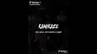 KAMIKAZE REMIX🇲🇽🇲🇽 [upl. by Richia390]