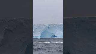 Antarctica is MELTING 😱 shorts [upl. by Aidnis]