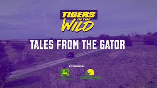 Tales from the Gator  Kade Woods LSU Baseball  Tigers in the Wild [upl. by Nahsed]