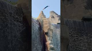 Cliff Diving  Canada’s Wonderland  Jumping Off The Cliff  Waterfall  Canada [upl. by Kaye]