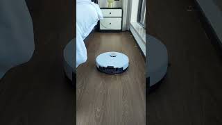 clean cleanroom foryour home robotvacuum robotcleaner room cat [upl. by Anauqcaj]