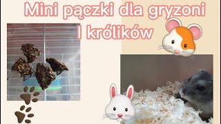 Przepis na pączkoweciasteczka dla gryzoni I królików 🐹🐰 Tłusty Czwartek 🍩 [upl. by Nyad]