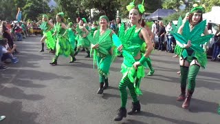 Mardi Grass Parade Nimbin [upl. by Aeriel]