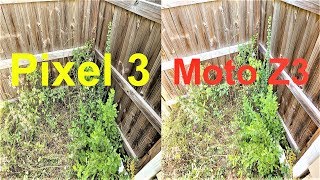 Google Pixel 3 Vs Moto Z3 Camera Test [upl. by Zeuqirdor796]