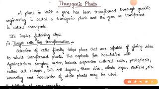 Transgenic Plants  Agrobacterium  Ti and Ri plasmid  BSC final year Botany Paper 2 [upl. by Hollyanne86]