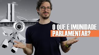 O QUE É IMUNIDADE PARLAMENTAR  MANUAL DO BRASIL [upl. by Yecies]