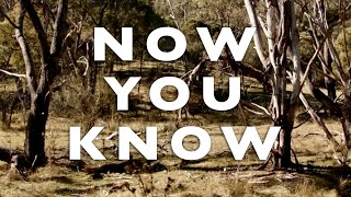 Tom Rosenthal  Now You Know Lyric Video [upl. by Japeth313]