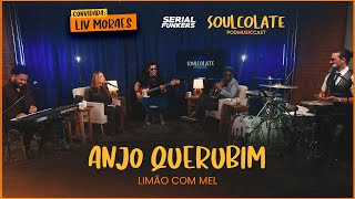 Anjo Querubim  Limão com Mel  Serial Funkers com Liv Moraes Soulcolate [upl. by Kerianne]