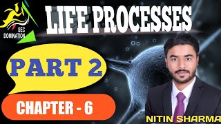 life processes part 2 [upl. by Dragoon]