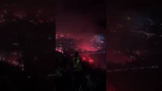 Festa surreal da Torcida do Atlético MG contra o River Plate copa libertadores galo galoaovivo [upl. by Hailee162]