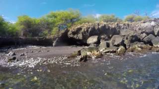 Hapuna Beach Snorkeling Big Island Hawaii [upl. by Alben]