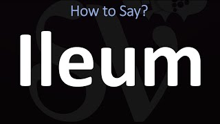 How to Pronounce Ileum CORRECTLY [upl. by Berns]