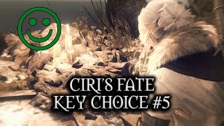 The Witcher 3 Wild Hunt  Ciris Fate  Key Choice 5  Skjalls Grave [upl. by Byrd]