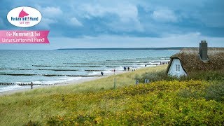 MecklenburgVorpommern  Urlaub und Ferien mit Hund [upl. by Guerin]