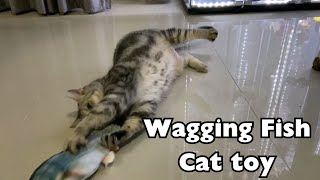 Wagging Fish Cat toy [upl. by Sofer]