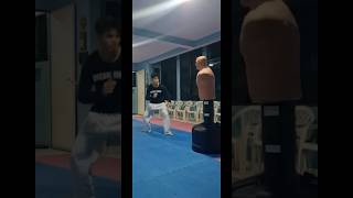 OLD School Taekwondo is BACKAll offense 9 POINTS in 2 Seconds trending shorts taekwondo mma [upl. by Eicart]