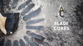 Blade Core Assemblages Taking A Look At Prehistoric Tools [upl. by Consolata]