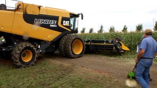 Chopping Corn Head Demonstration [upl. by Notsreik]