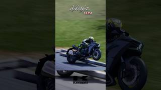 Kawasaki Ninja h2 speedking fastestbike stunt wheelie ride5 motogp kawasaki ninjah2r h2 [upl. by Ditzel]