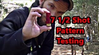 12ga Birdshot Pattern Testing 28 VS 18 Inch [upl. by Irroc]