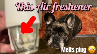 £299 Air Freshener Knackers my washer 😳😳😳 dog frenchie dailyvlog samsung washingmachine [upl. by Ori]