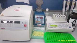 DNA extraction from Sandfly Phenol chloroform method Part 2 [upl. by Herby]