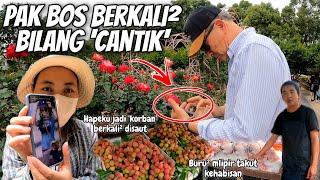 PAK BOSS BOLAK BALIK BILANG CANTIK‼️ BURU² MLIPIR SEBELUM MENDAKI GUNUNG LEWATI LEMBAH‼️ [upl. by Joby]