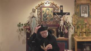 Transalpine Redemptorists Live Stream [upl. by Eardnoed]