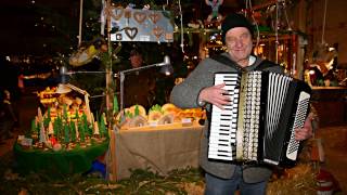 Christmas Medley for Accordion HD  played by Theo Degler [upl. by Kurzawa]