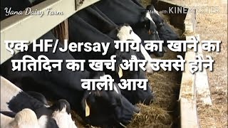 एक HF Jersay गाय का प्रतिदिन का खाने का कितना खर्चा आता है और उससे कितना कमा सकते हैं [upl. by Sicard]