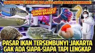 AKU MENEMUKAN PASAR IKAN TESEMBUNYI JAKARTA KOK GAK ADA SIAPASIAPA PASAR IKAN GEMBRONG BARU [upl. by Gunar924]