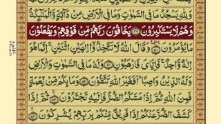 QuranPara1430Urdu Translation [upl. by Inami]