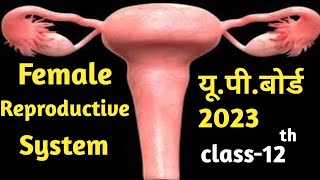 Female reproductive system  aristo plus  upboard2023 [upl. by Rothberg496]