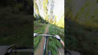 a good SECTION in MALINO BRDO  SLOVAKIA  Commencal Supreme V5 bike downhillmtb mtb downhill [upl. by Nelehyram]