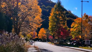 秋の風物詩 奥日光の紅葉を訪ねて②【4kHDR 】TOCHIGI JAPAN [upl. by Elleuqram]