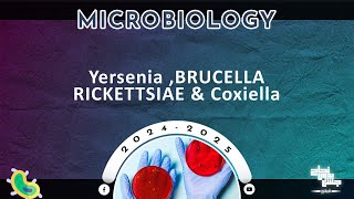 Tut 1 Brucella Yersinia Rickettsia and Q fever Microbiology [upl. by Auqinu250]