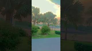 janeshwar park song music explore newsong 😁😅 [upl. by Halak]