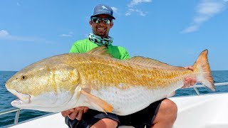 Found Over 10000 MASSIVE Redfish [upl. by Limhaj]