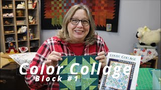 Color Collage Block 1 Quilt Along Block of the Month Greenhouse Gardens by Marcus Fabrics [upl. by Macknair242]