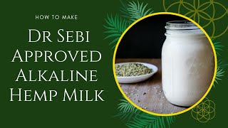 How To Make Dr Sebi Approved Alkaline Hemp Milk [upl. by Wiseman114]