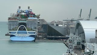 Icon of the Seas LIVE arrival to PortMiami From MSC Meraviglia iconoftheseas [upl. by Phelia134]