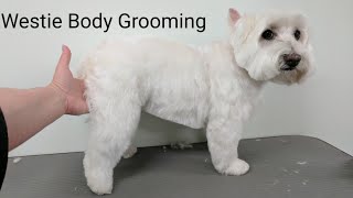 Westie Body Grooming Summer Clip [upl. by Droffilc]